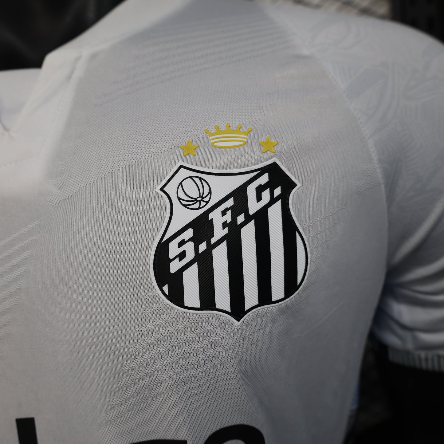 Player Santos 24/25