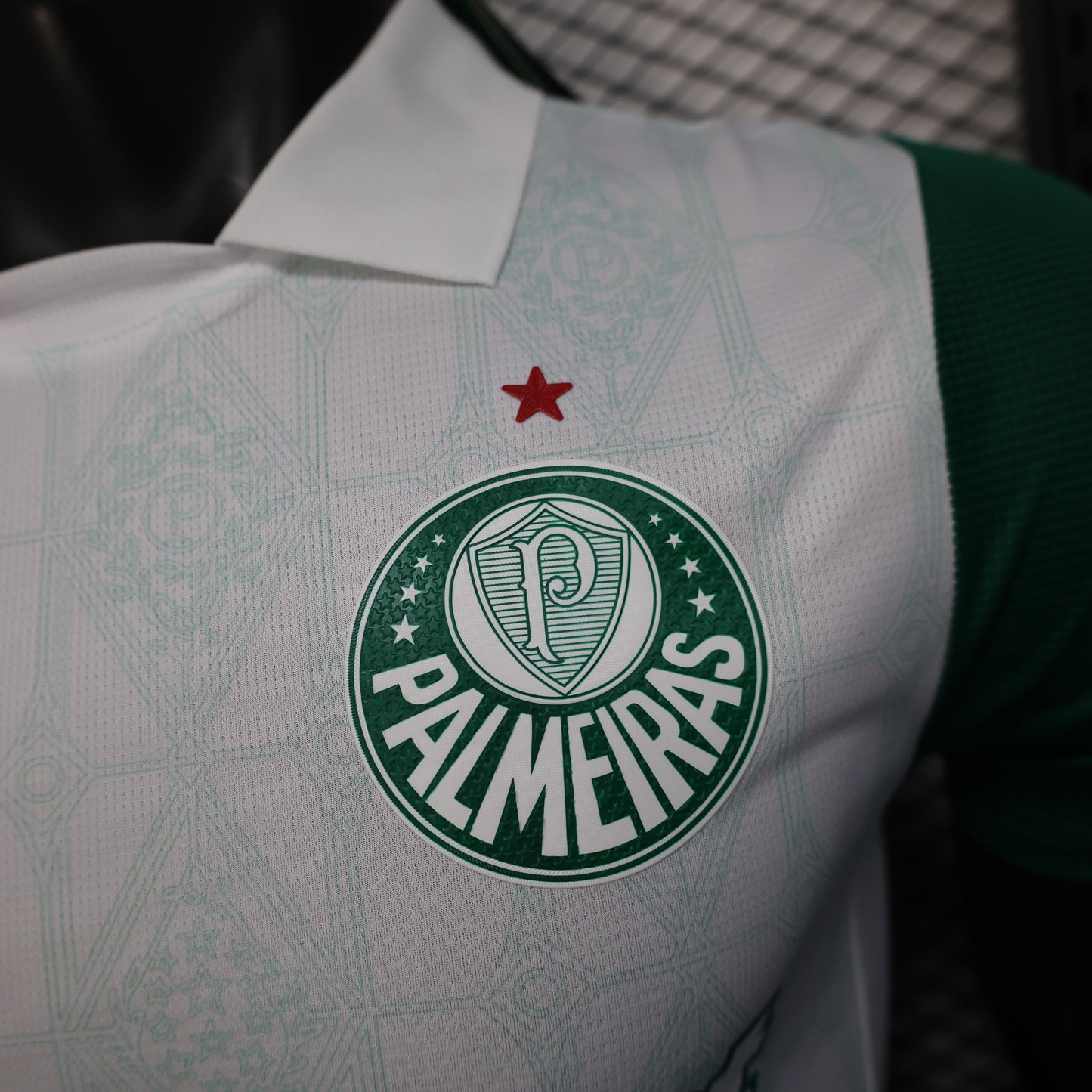 Player Palmeiras 25/26