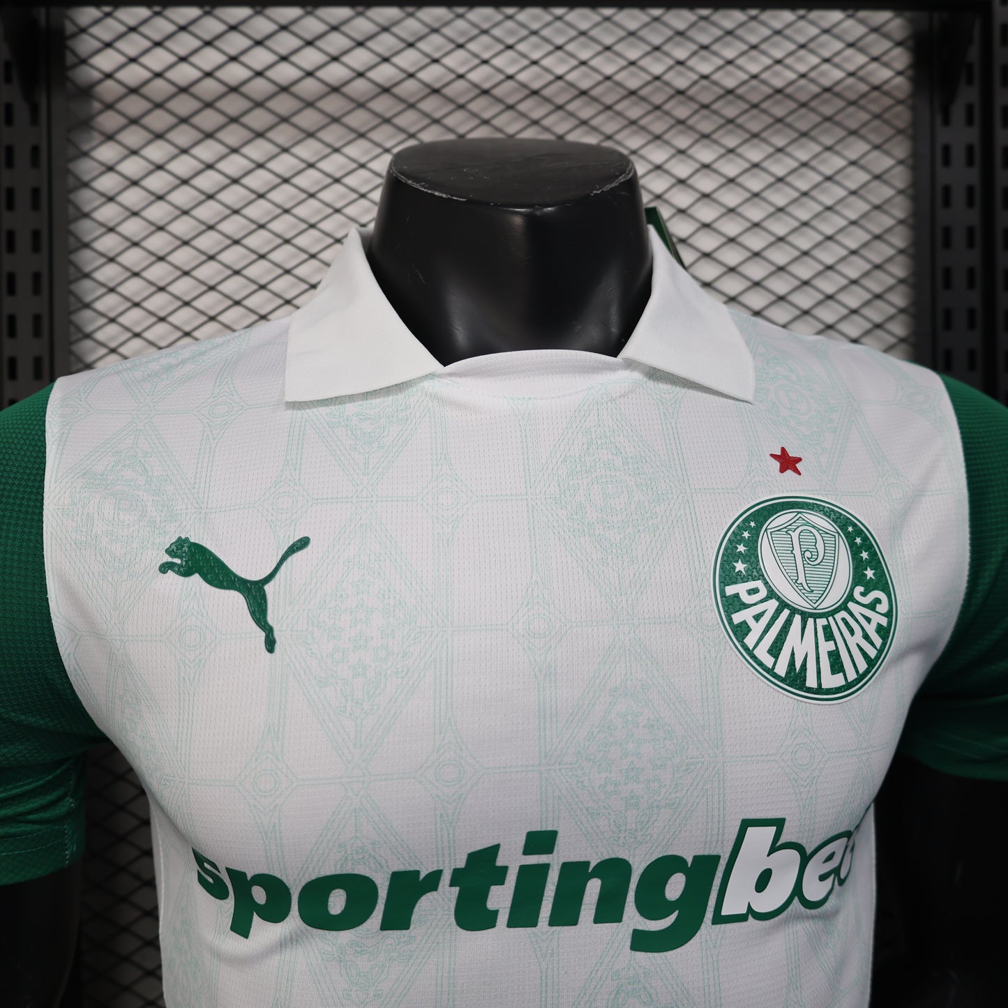 Player Palmeiras 25/26