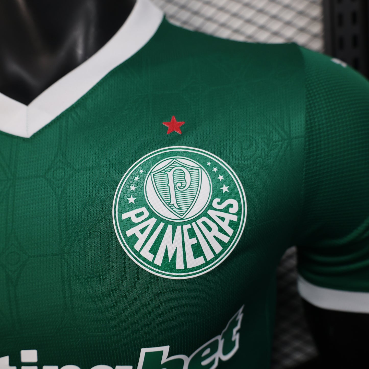 Player Palmeiras 25/26