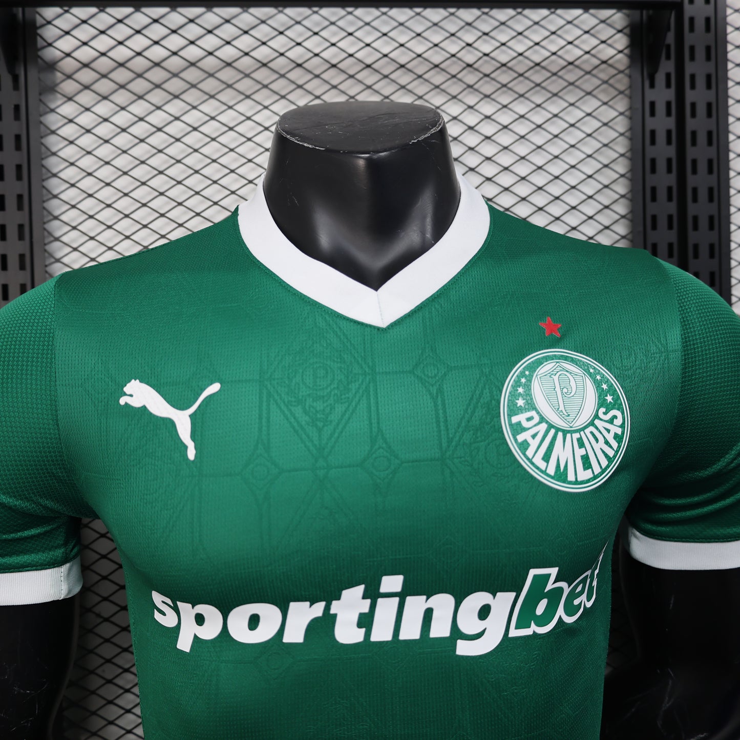 Player Palmeiras 25/26