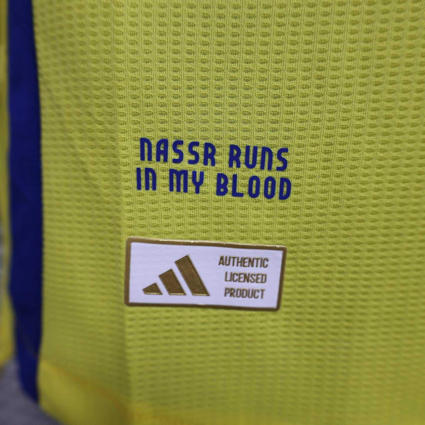 Player All Nassr 24/25