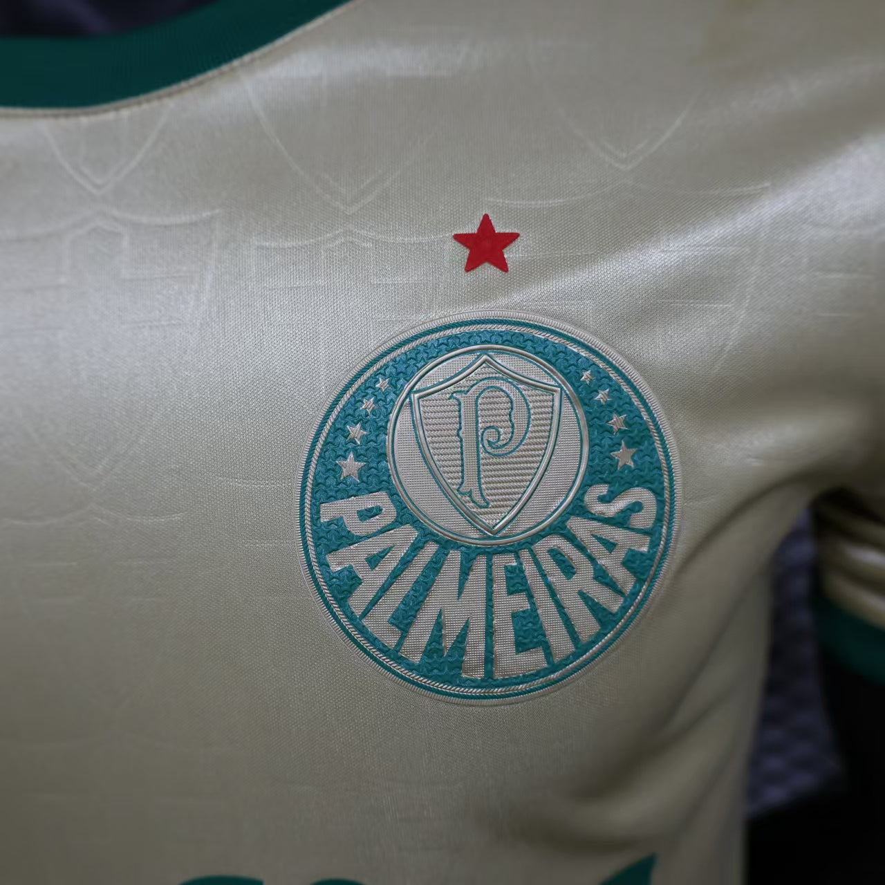 Player Palmeiras 24/25