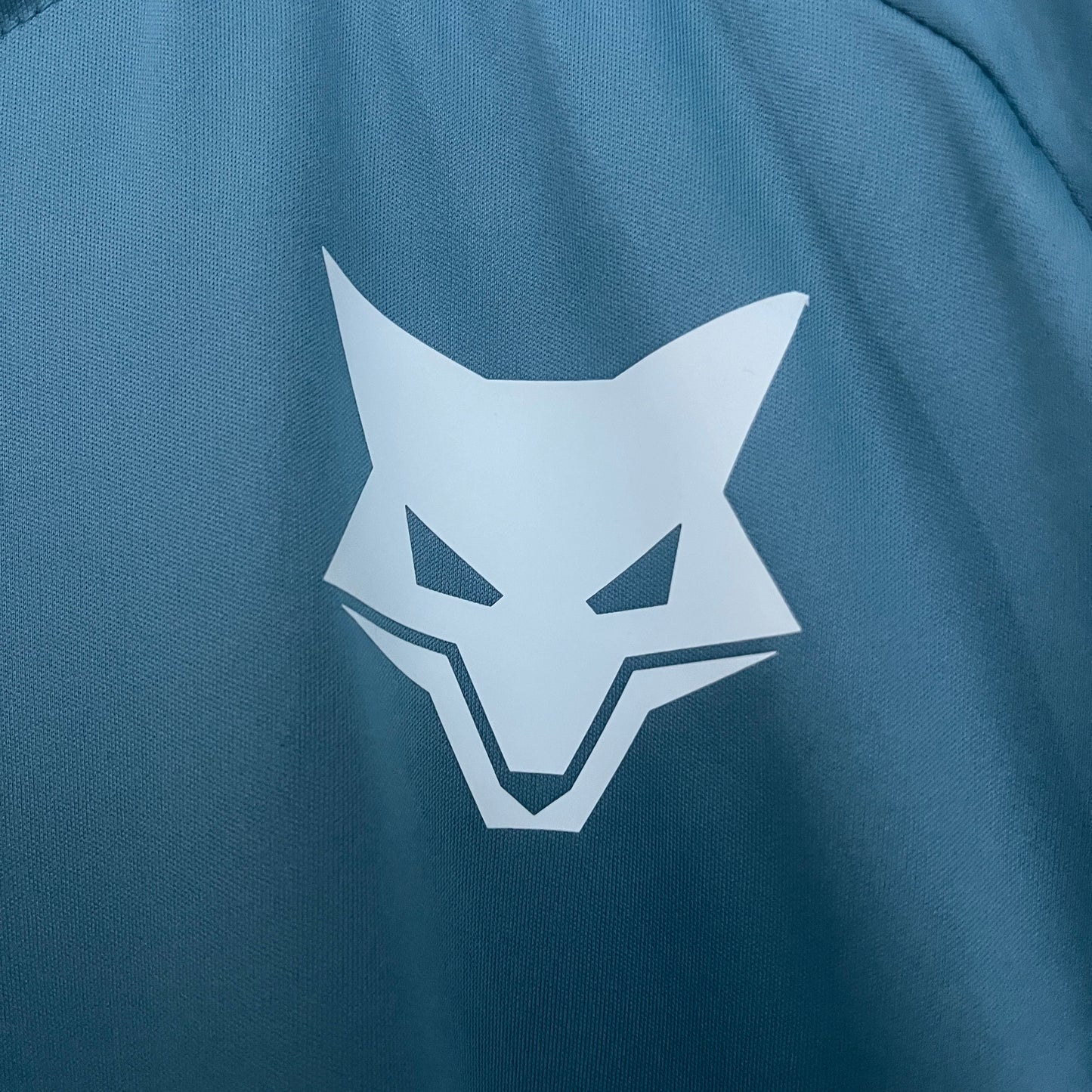 Camisa Cruzeiro 25/26 Training Suit