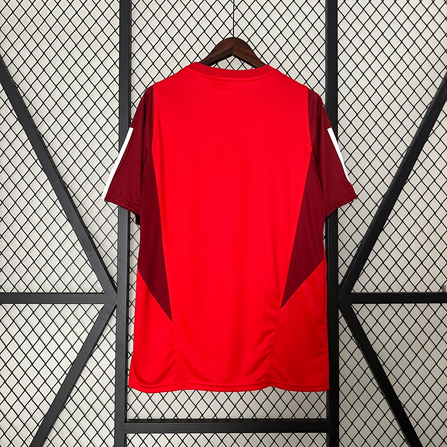 Camisa Internacional 24/25 Training Wear