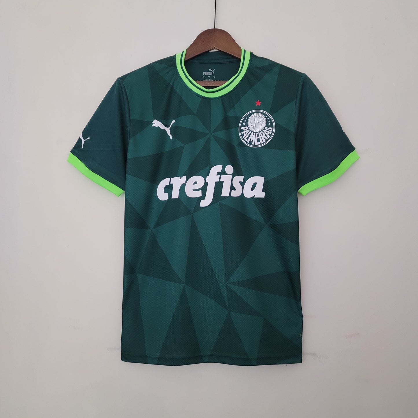 Camisa Palmeiras 23/24 Home