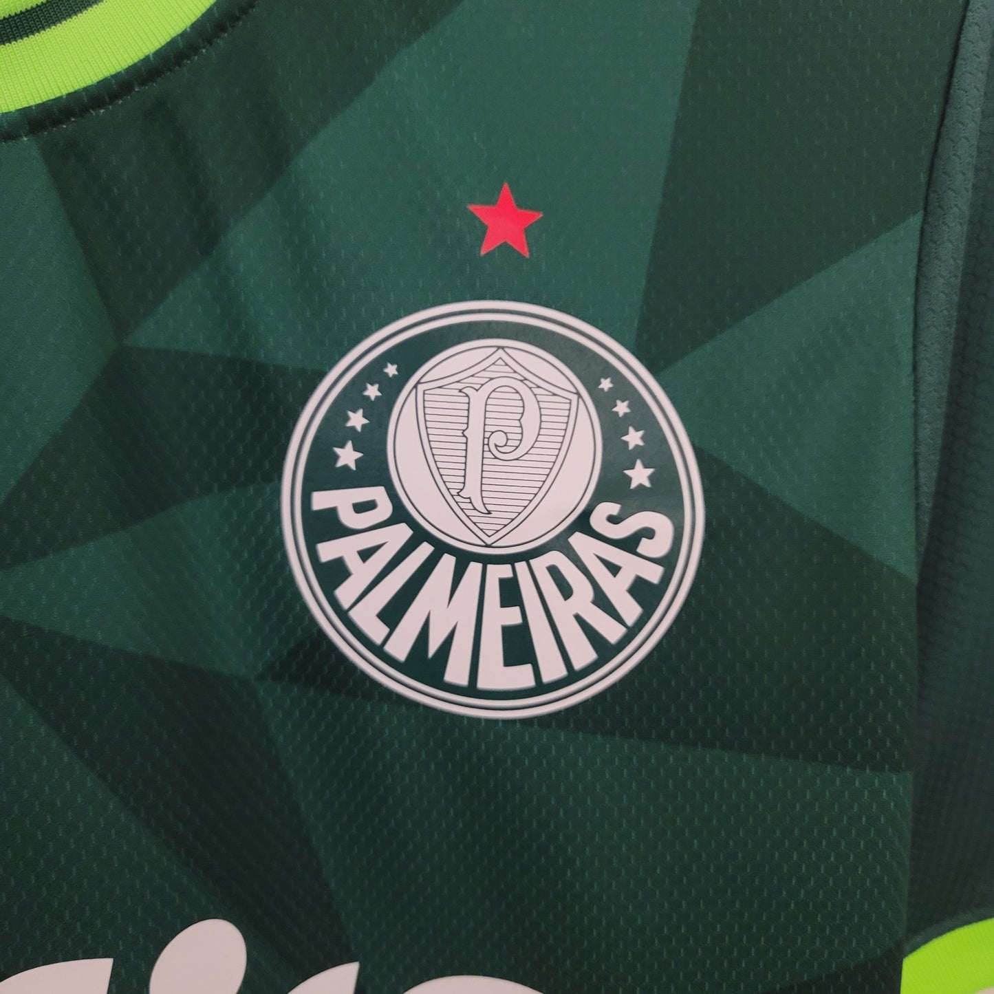Camisa Palmeiras 23/24 Home