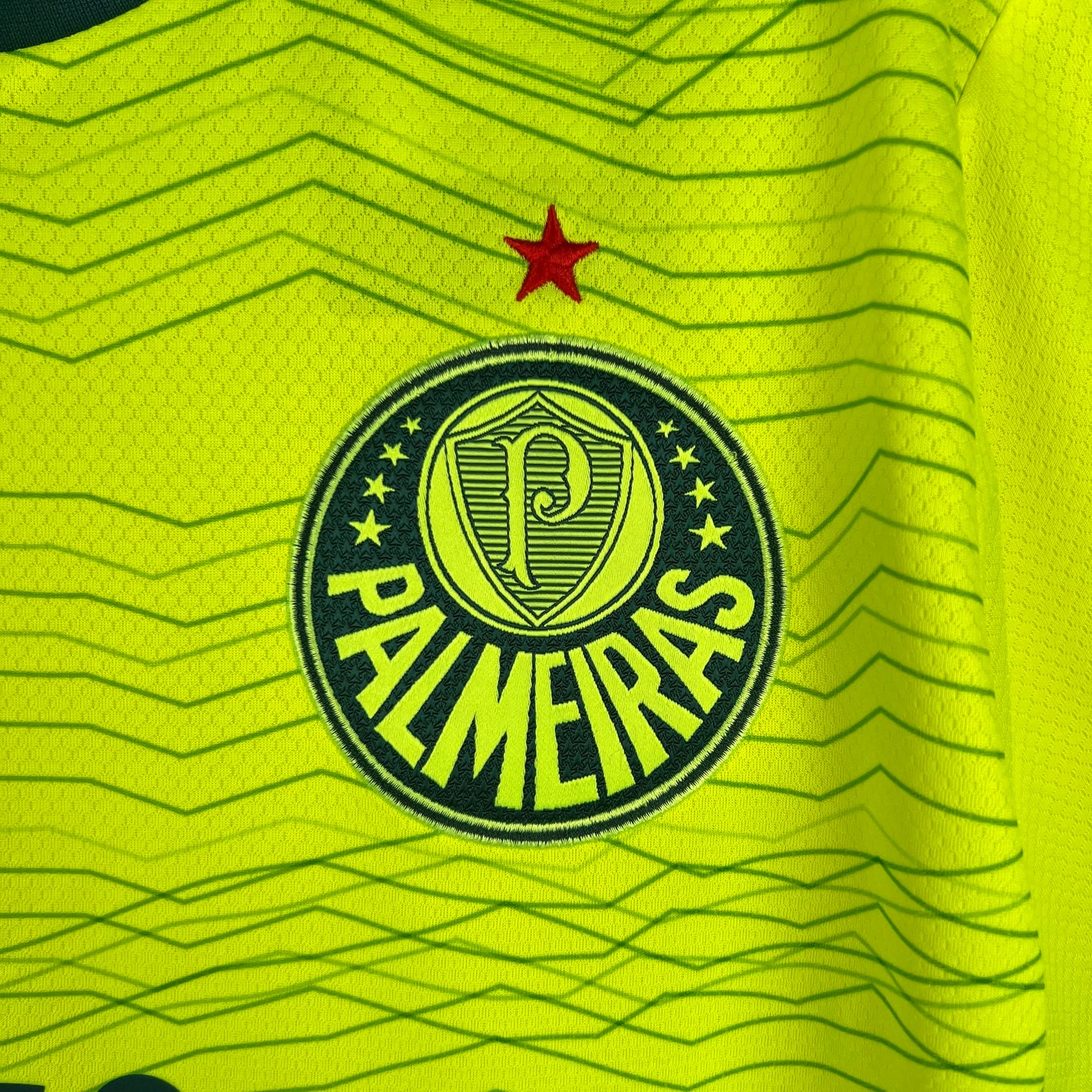 Camisa Palmeiras 23/24 Third Away