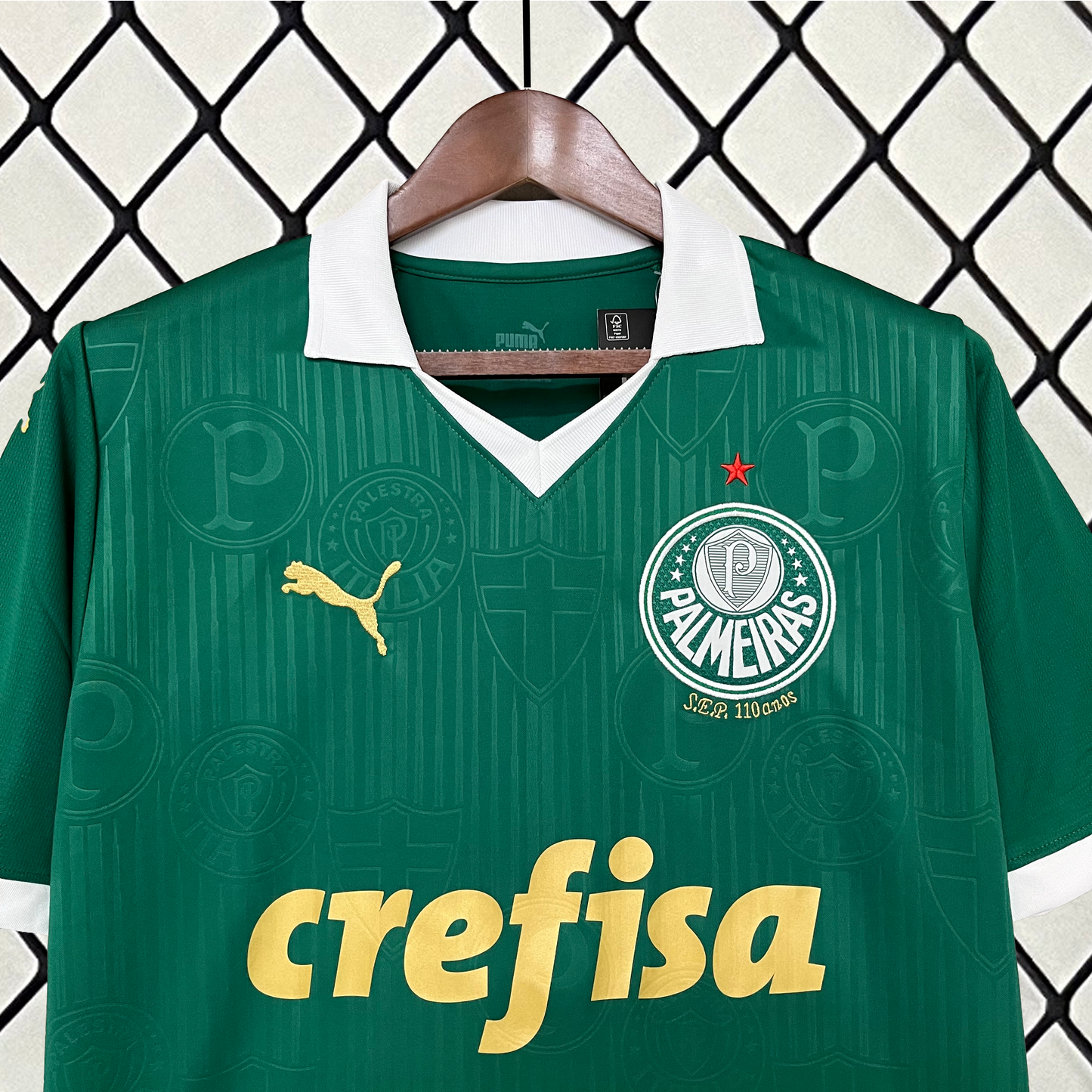 Camisa Palmeiras 24/25 Home