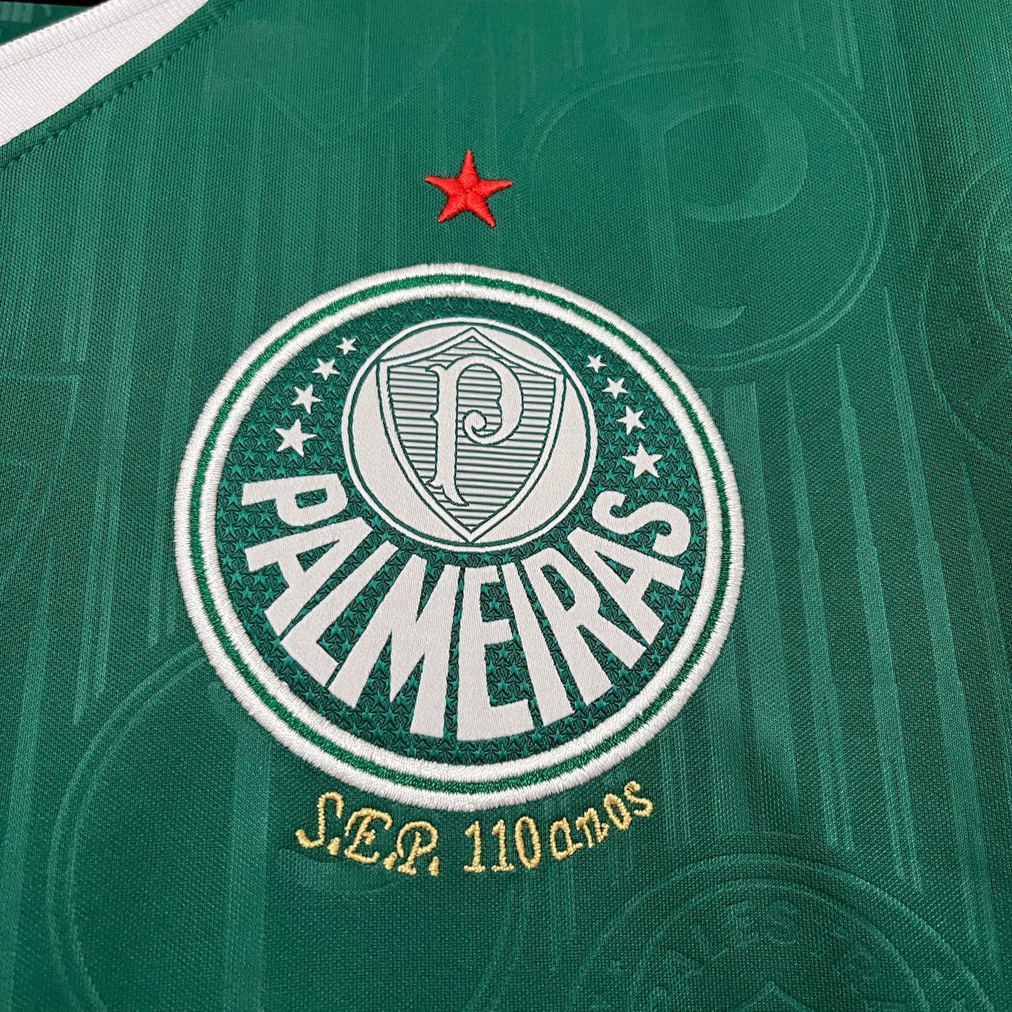 Camisa Palmeiras 24/25 Home