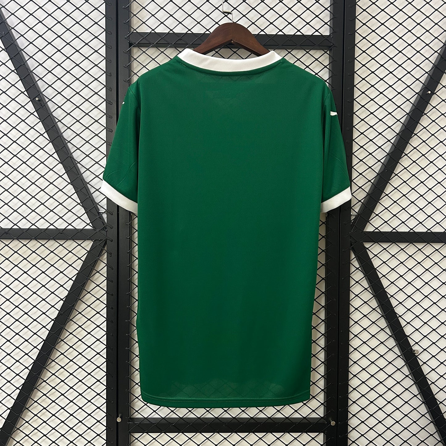 Camisa Palmeiras 25/26