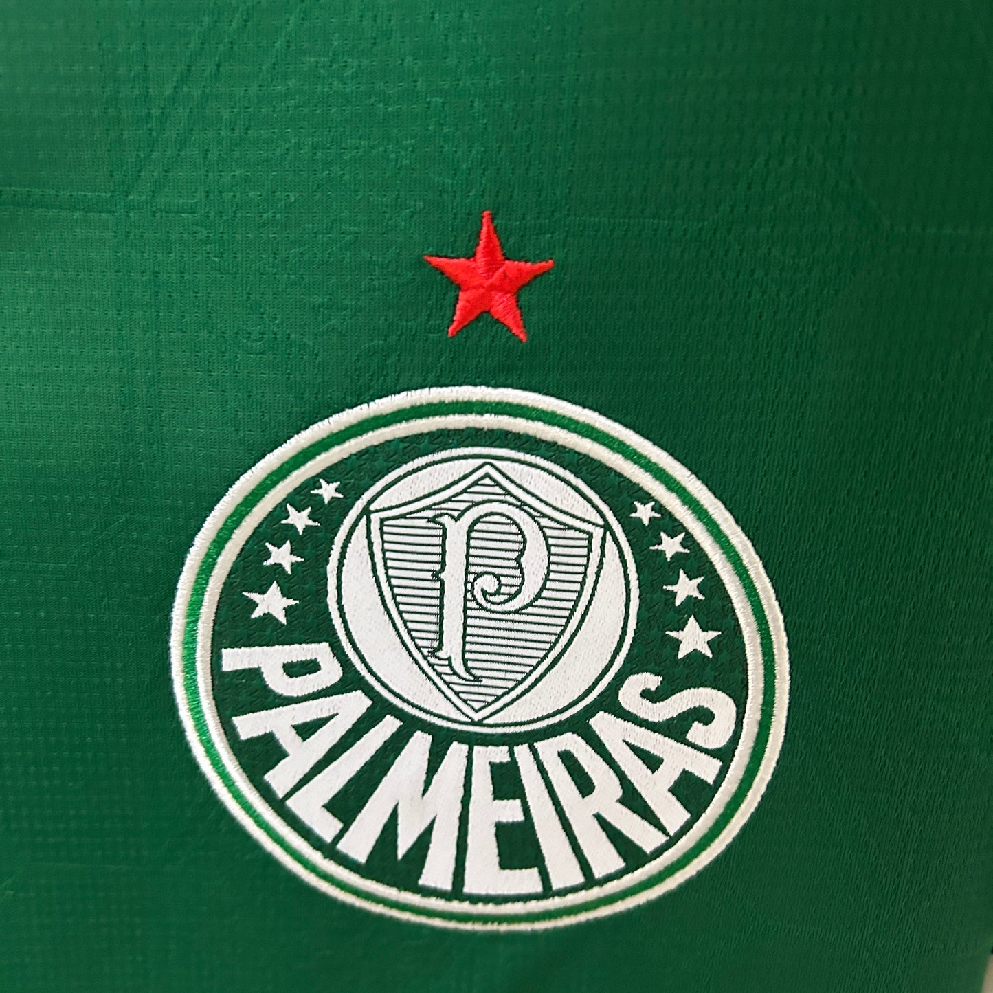 Camisa Palmeiras 25/26