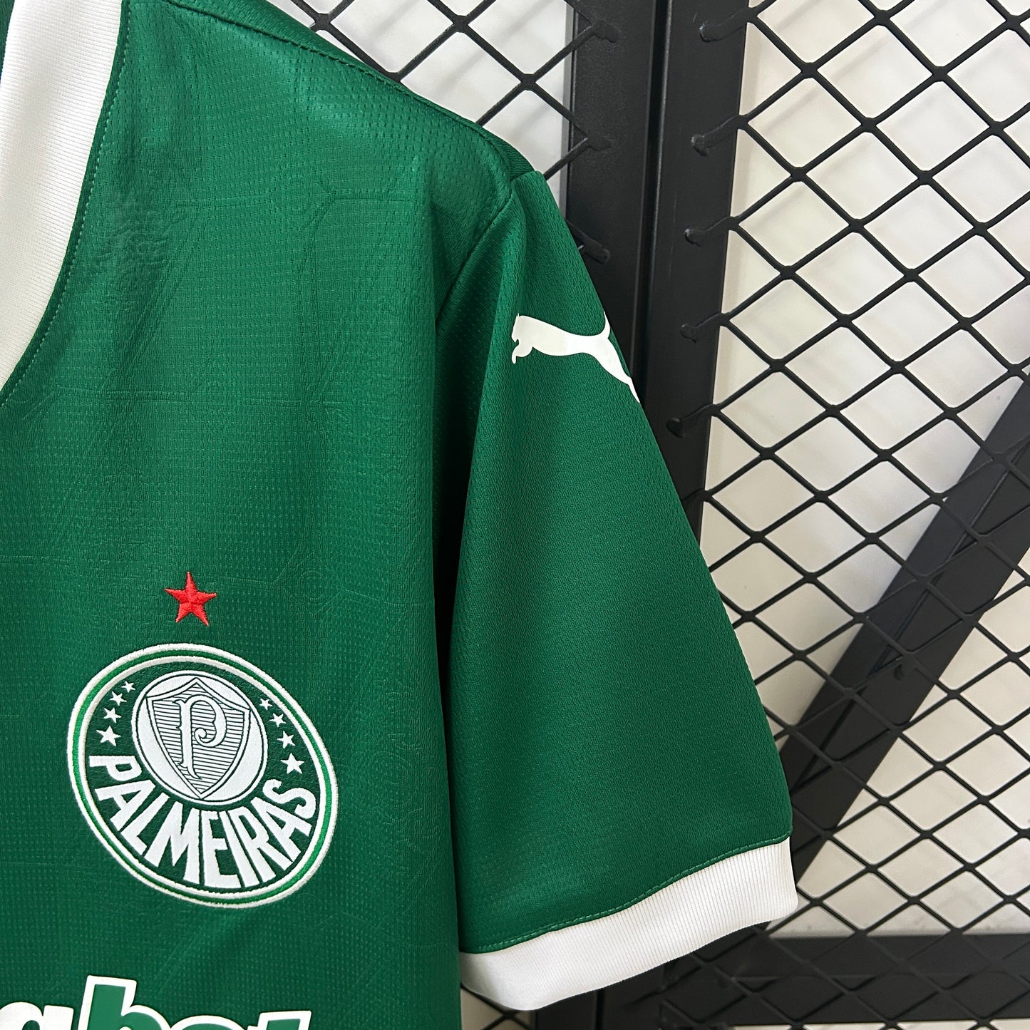 Camisa Palmeiras 25/26